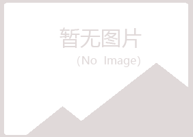 绥化北林夏岚保险有限公司